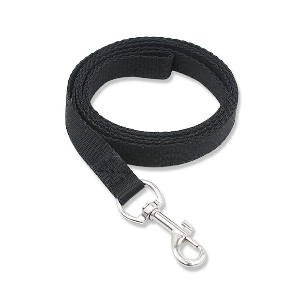 Black dog leash with a silver clasp on a white background