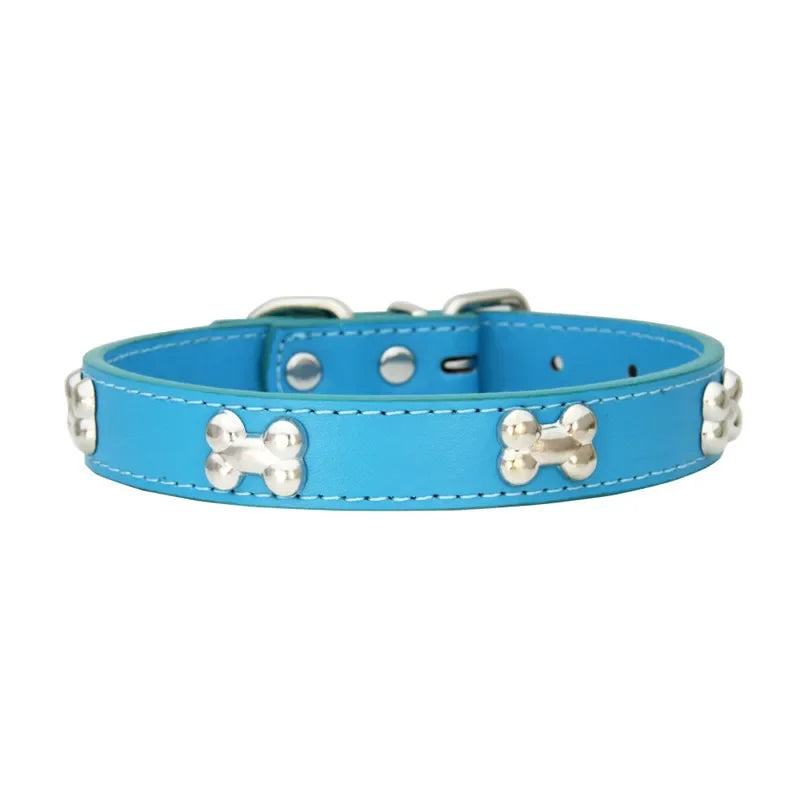 Blue dog collar with silver bone-shaped studs on a white background