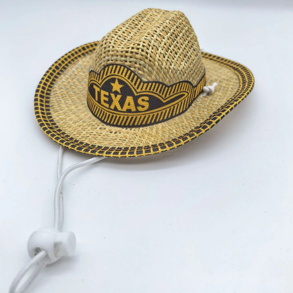 Urban Cowboy Pet Hat