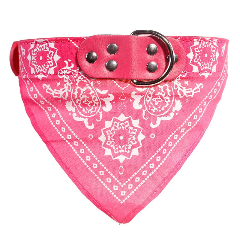 ScarfTail Collar | Bandana & Collar Combo for Stylish Pups