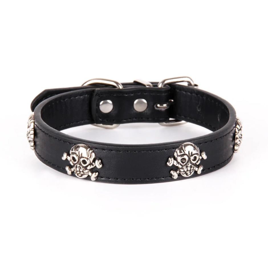Black leather dog collar with skull designs on a white background