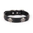 Black leather dog collar with skull designs on a white background