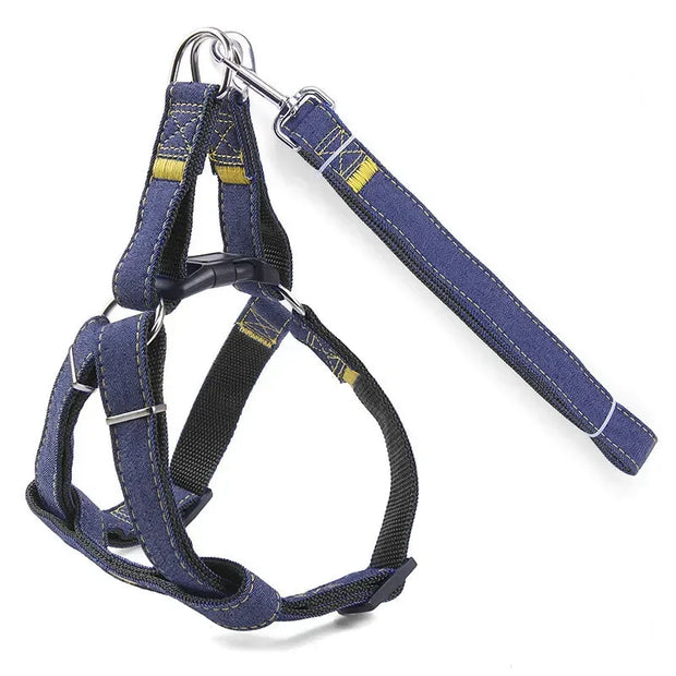 Sparkle Denim Harness & Leash – Adventure Ready!