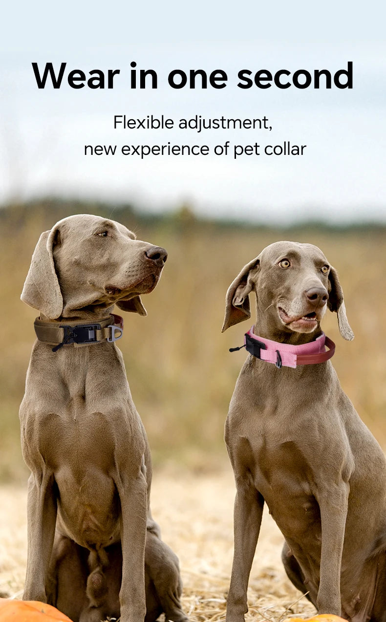 Snap-Lock Magnetic Collar