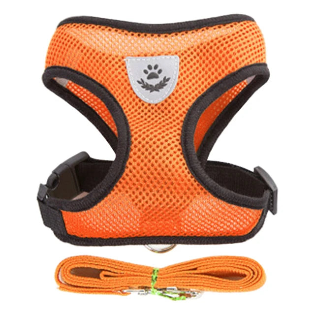 Orange dog harness with black straps and a matching leash on a white background