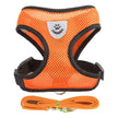 Orange dog harness with black straps and a matching leash on a white background