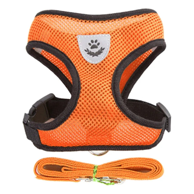 Orange dog harness with black straps and a matching leash on a white background