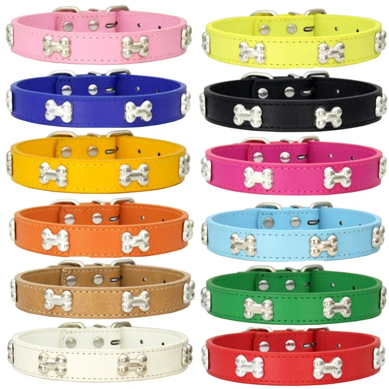 Collection of colorful dog collars with bone-shaped studs on a white background