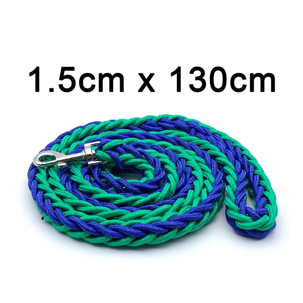 Green and blue braided rope leash with metal clip on a white background, labeled 'PetCloud'.
