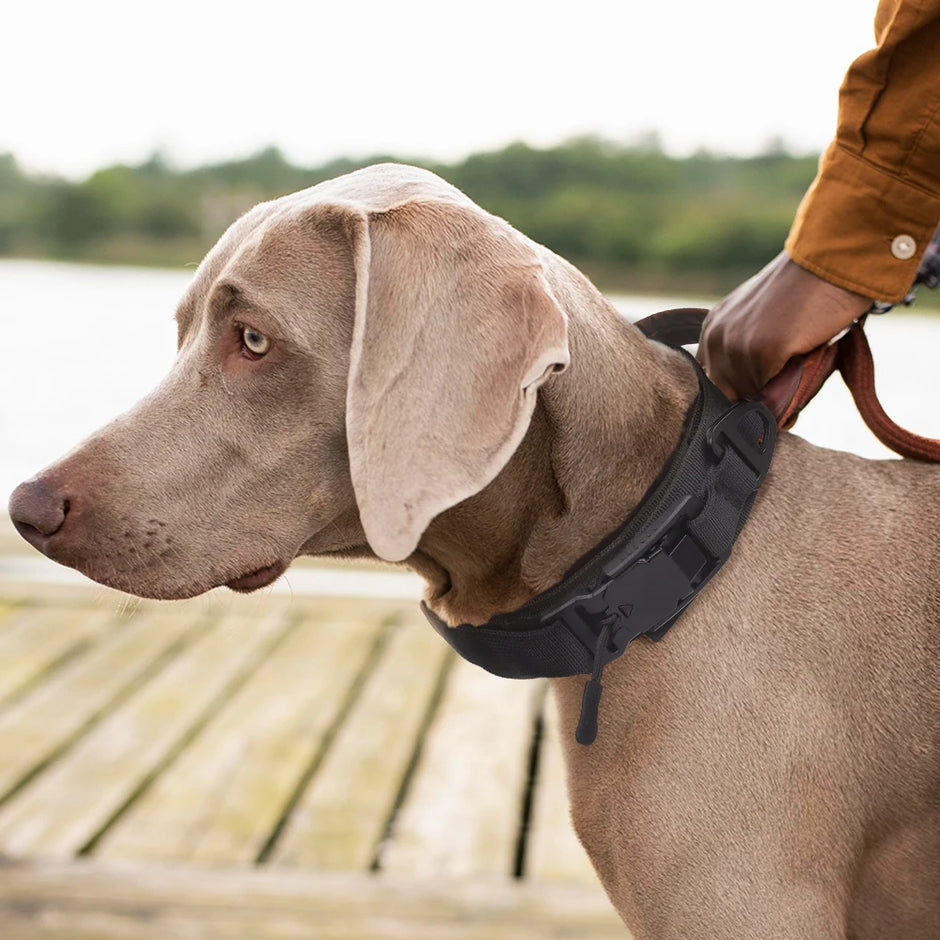 Snap-Lock Magnetic Collar