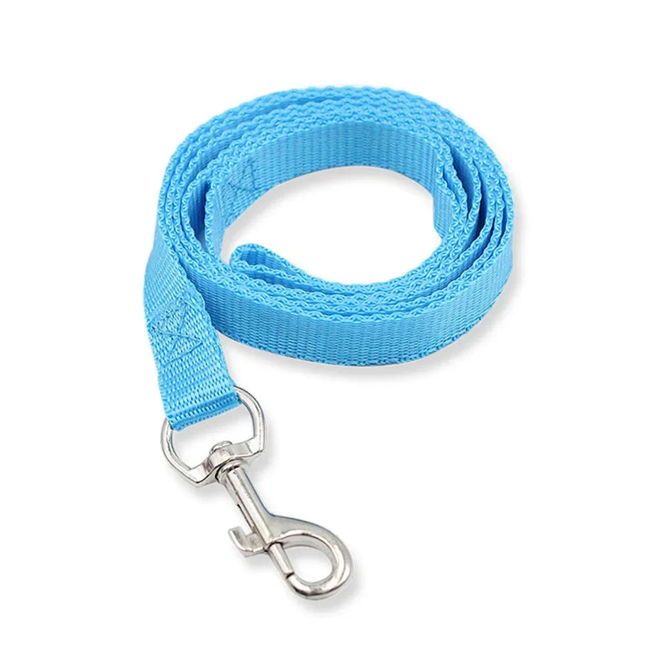 Blue dog leash with a silver clip on a white background