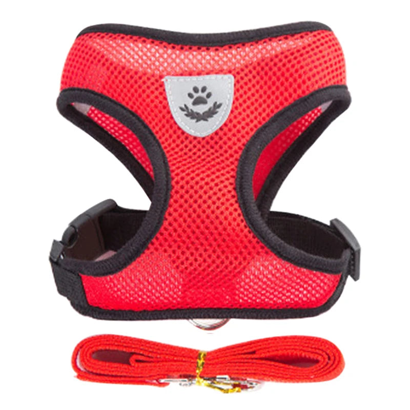 Red dog harness with black straps and a matching leash on a white background