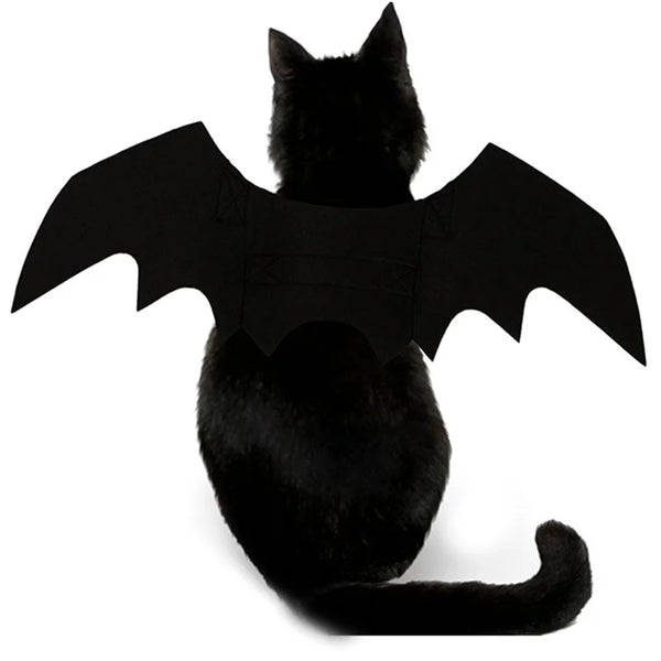 Black cat wearing a bat costume with large wings on a white background