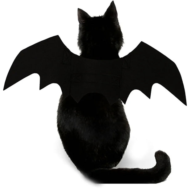 Black cat wearing a bat costume with large wings on a white background