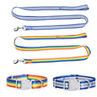 Dog leashes and collars in blue, white, rainbow, and striped patterns on a white background.