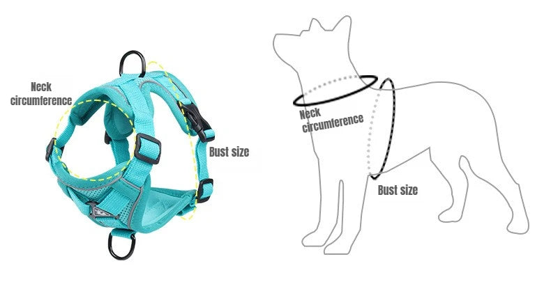 BreezeGuard Mesh Harness & Leash Set
