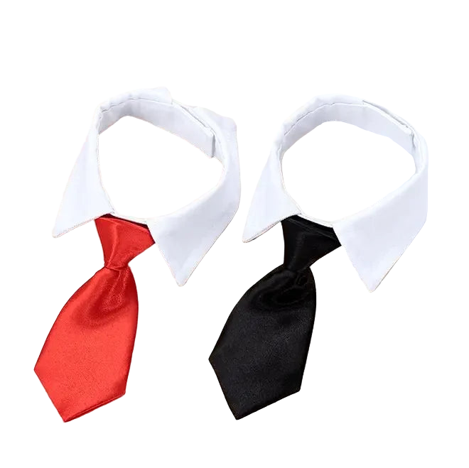 Two neckties, one red and one black, on a white shirt collar.