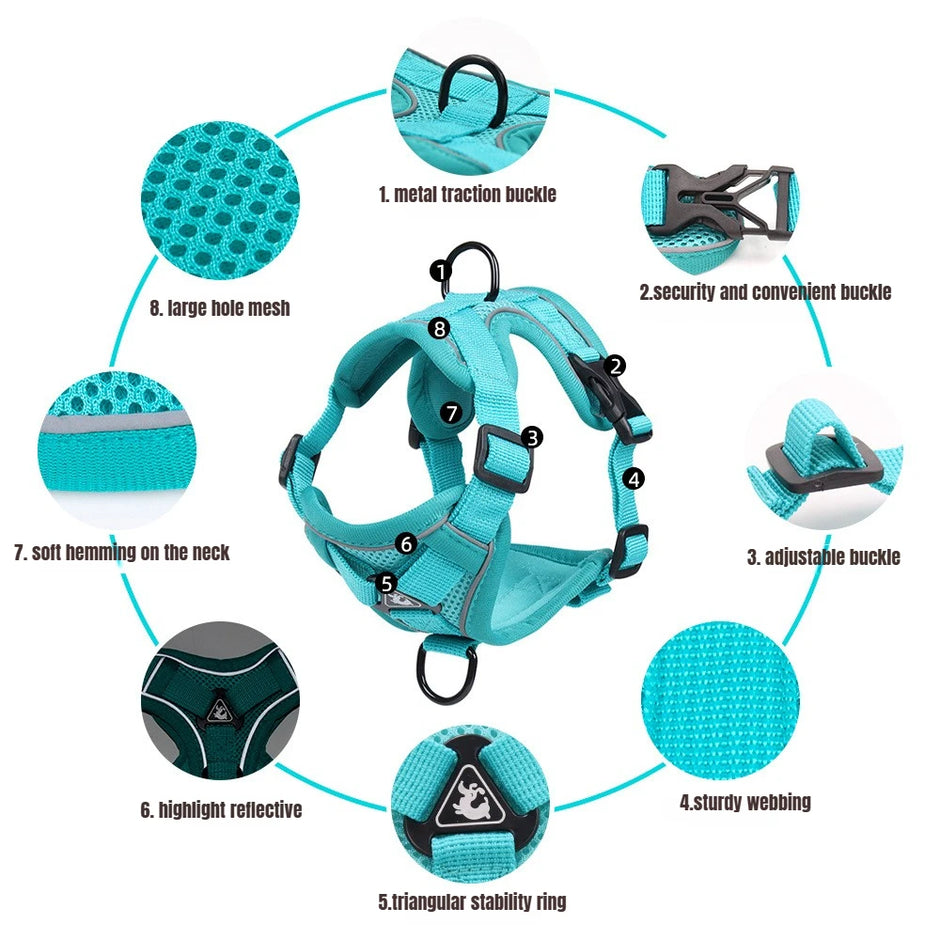 BreezeGuard Mesh Harness & Leash Set