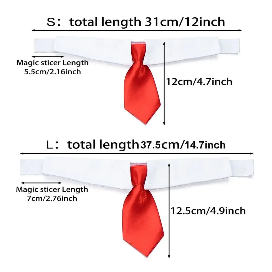 Measurement chart of a red tie with different lengths on a white background