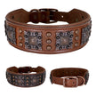 Rock Chic | Studded Dog Collar