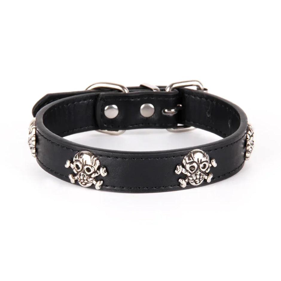 Black leather dog collar with skull designs on a white background