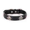 Black leather dog collar with skull designs on a white background