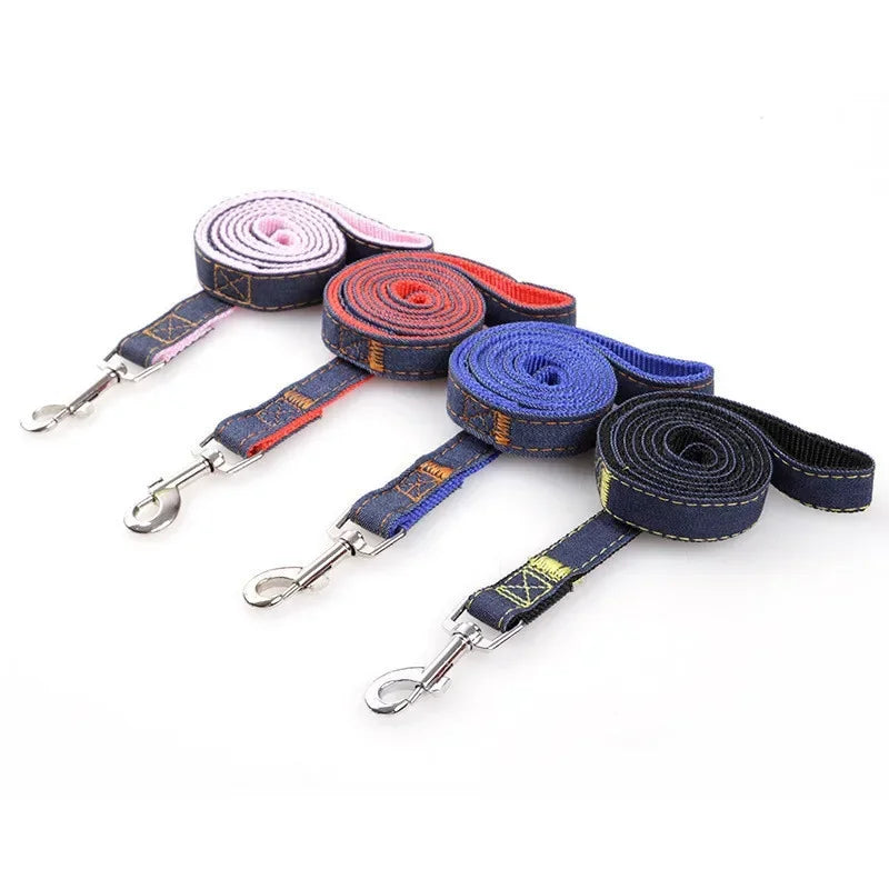 Sparkle Denim Harness & Leash – Adventure Ready!