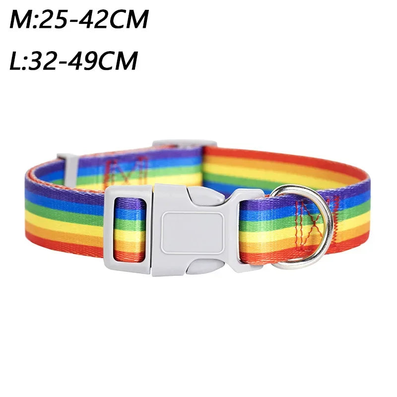 RainbowGlow Safety Walking Set