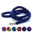Blue and black braided dog leash with a metal clip on a white background, featuring PetCloud branding.