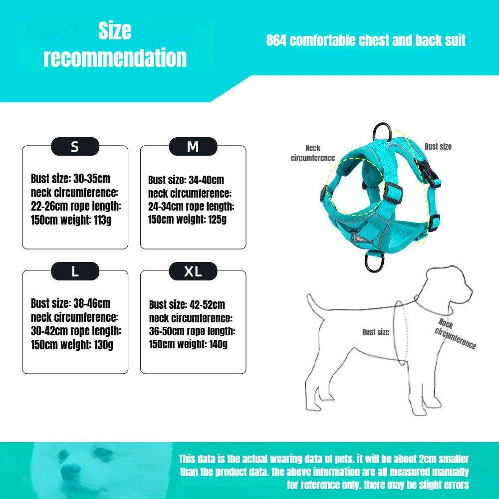 BreezeGuard Mesh Harness & Leash Set