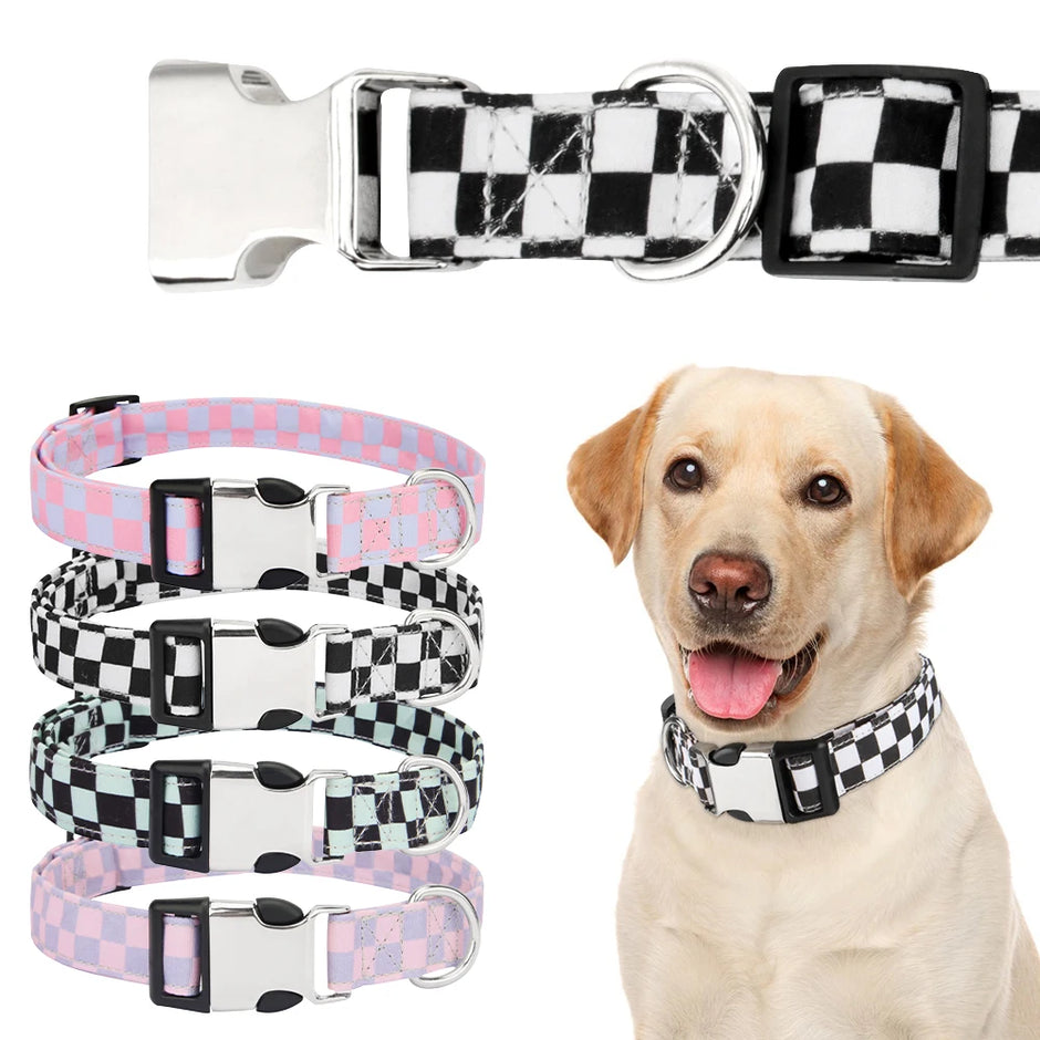 Set of checkered dog collars with a dog wearing one of them on a white background