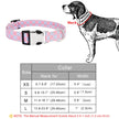 Dog collar with measurement chart and illustration of a dog wearing the collar.