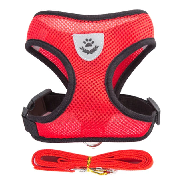 Red dog harness with black straps and a matching leash on a white background