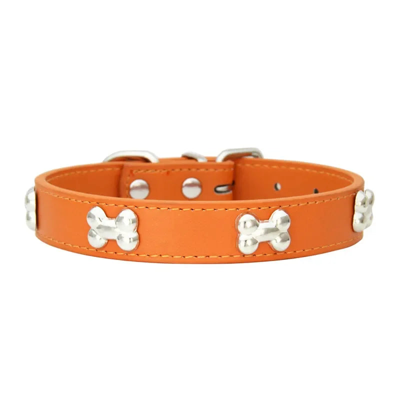 Orange dog collar with silver bone-shaped studs on a white background