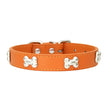 Orange dog collar with silver bone-shaped studs on a white background