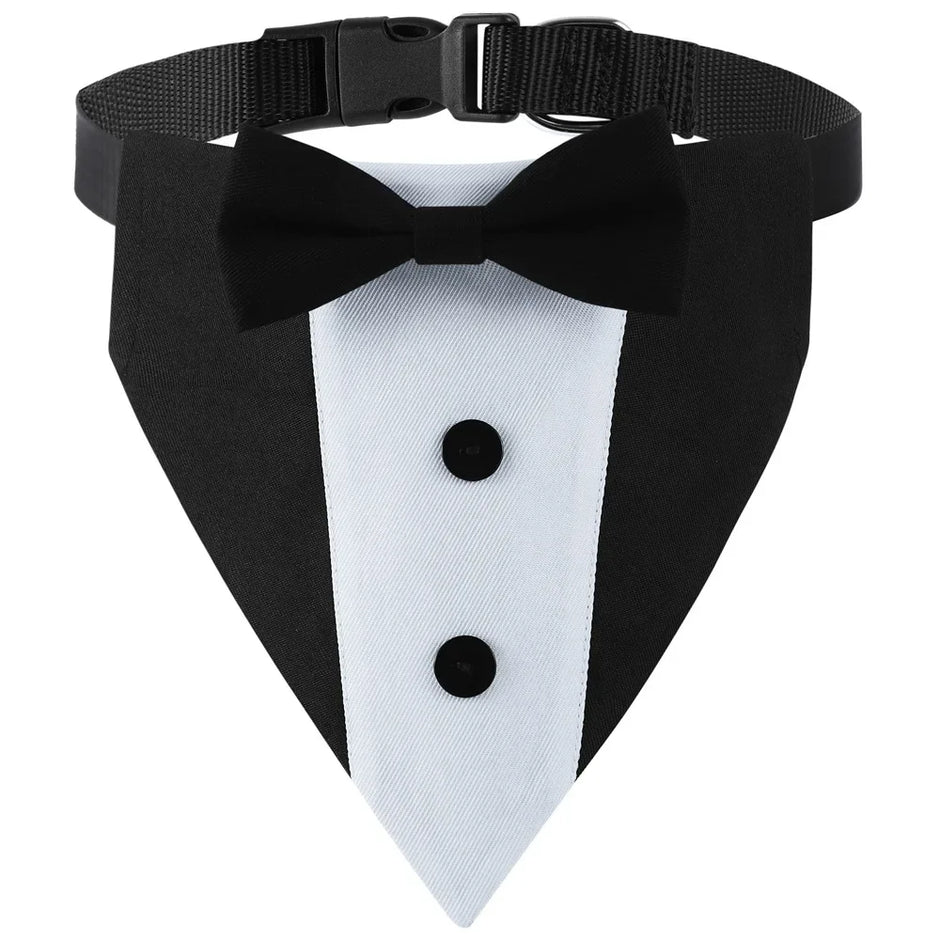 Formal Pup Tuxedo Collar 🐕🦺🎩