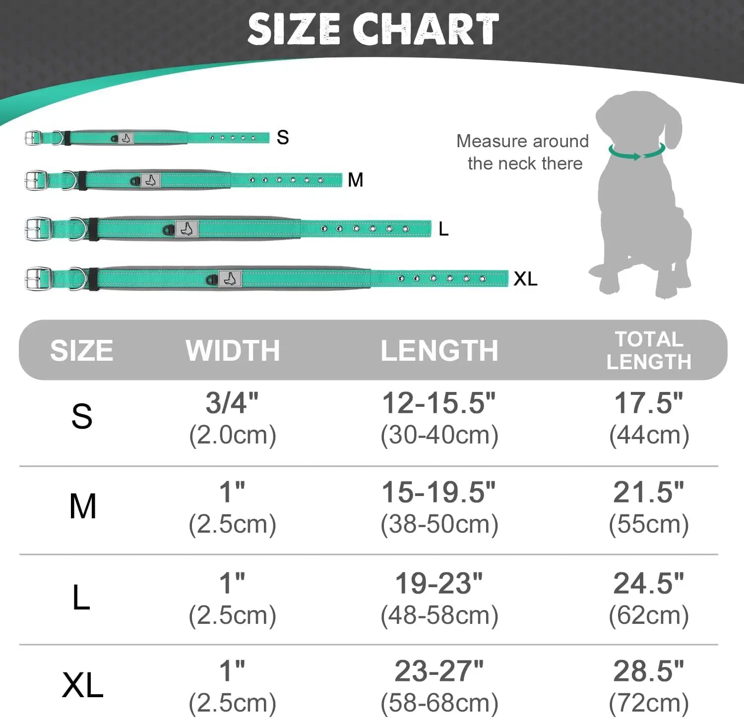 The Guardian Comfort Collar