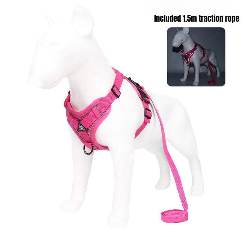 BreezeGuard Mesh Harness & Leash Set