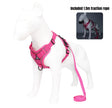BreezeGuard Mesh Harness & Leash Set