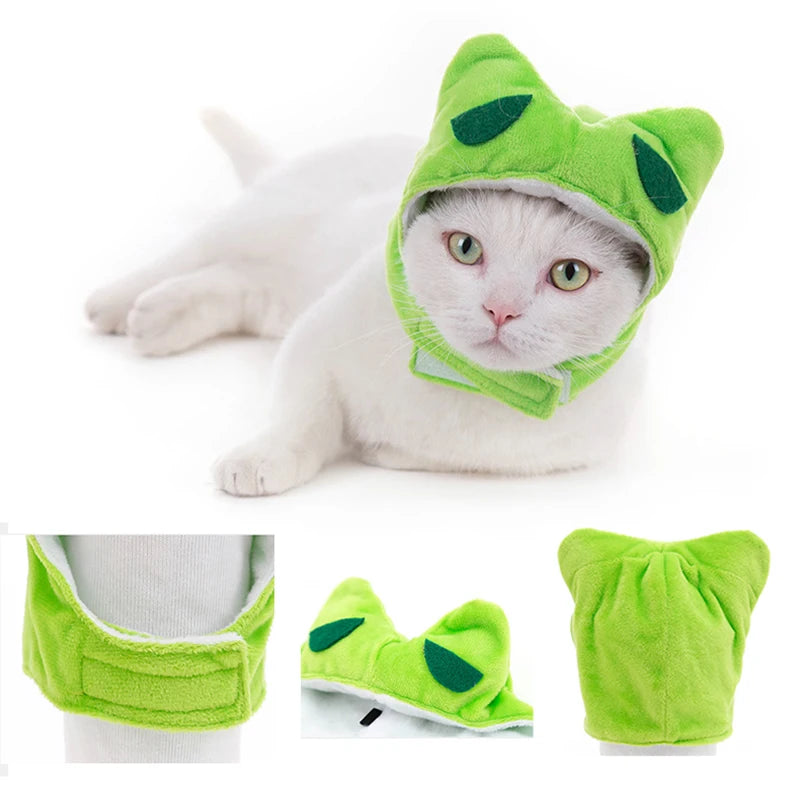 Cat wearing a green costume with leaf-like ears on a white background