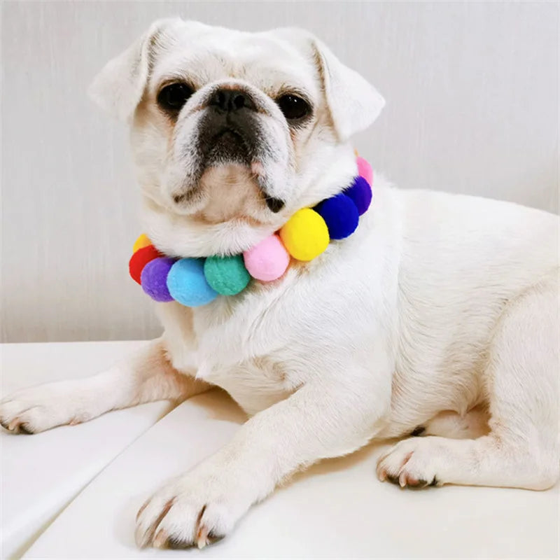 Pom Pom Bloom Collar 🌈🐾