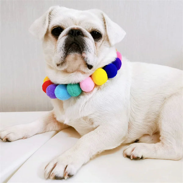 Pom Pom Bloom Collar 🌈🐾