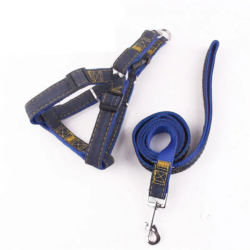 Sparkle Denim Harness & Leash – Adventure Ready!