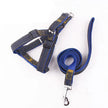 Sparkle Denim Harness & Leash – Adventure Ready!