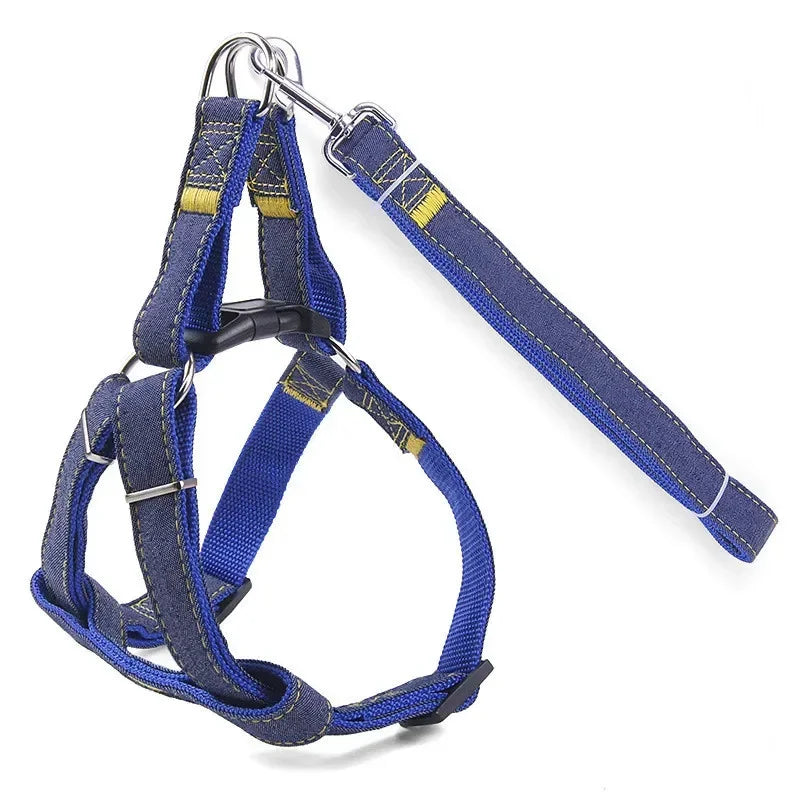 Sparkle Denim Harness & Leash – Adventure Ready!