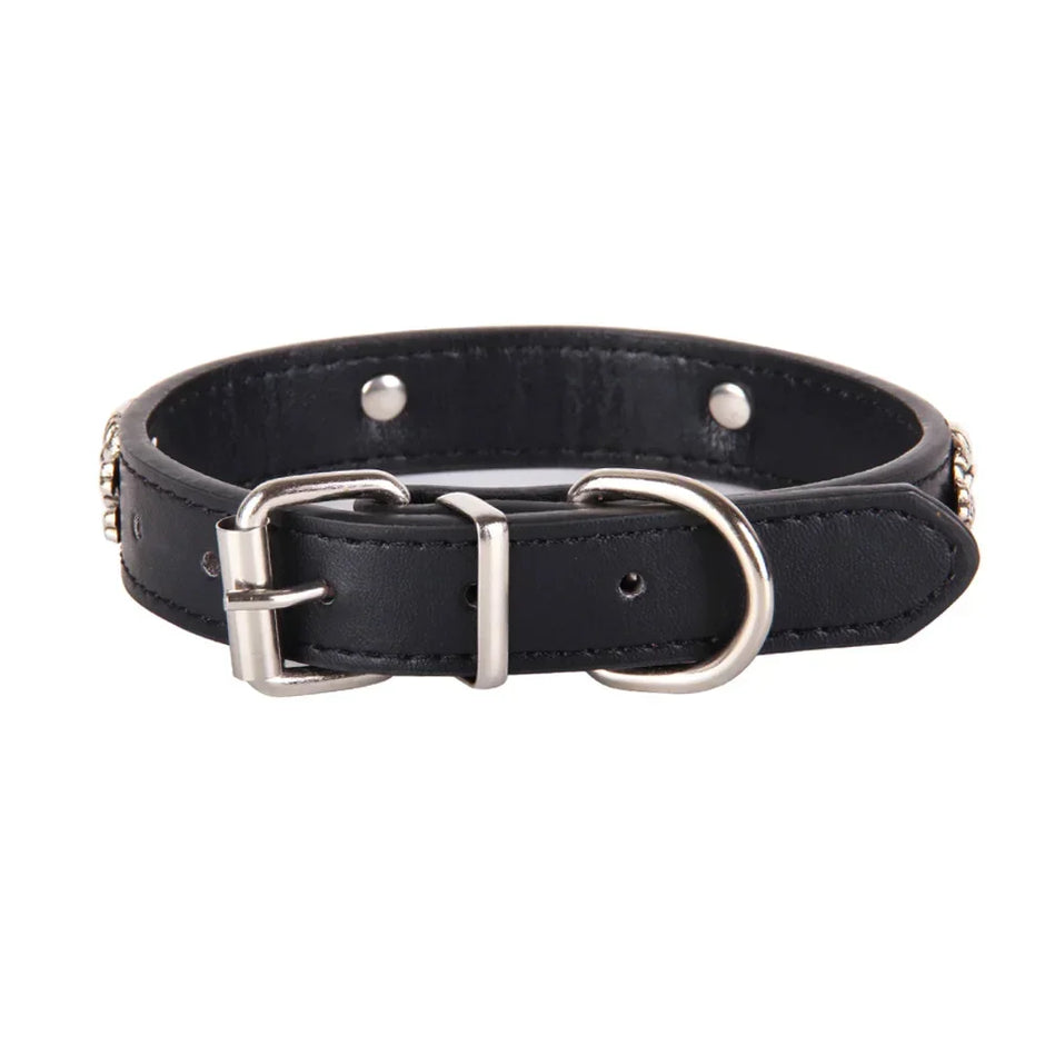 Black leather dog collar with silver hardware on a white background