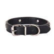 Black leather dog collar with silver hardware on a white background