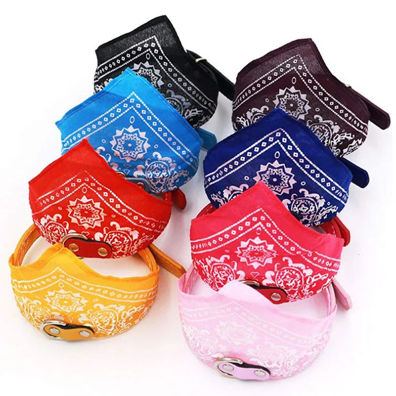 ScarfTail Collar | Bandana & Collar Combo for Stylish Pups