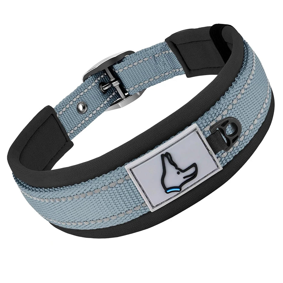 The Guardian Comfort Collar