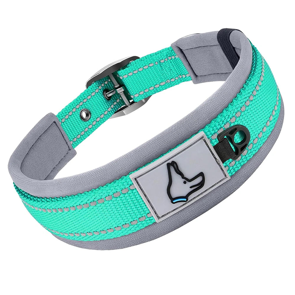 The Guardian Comfort Collar